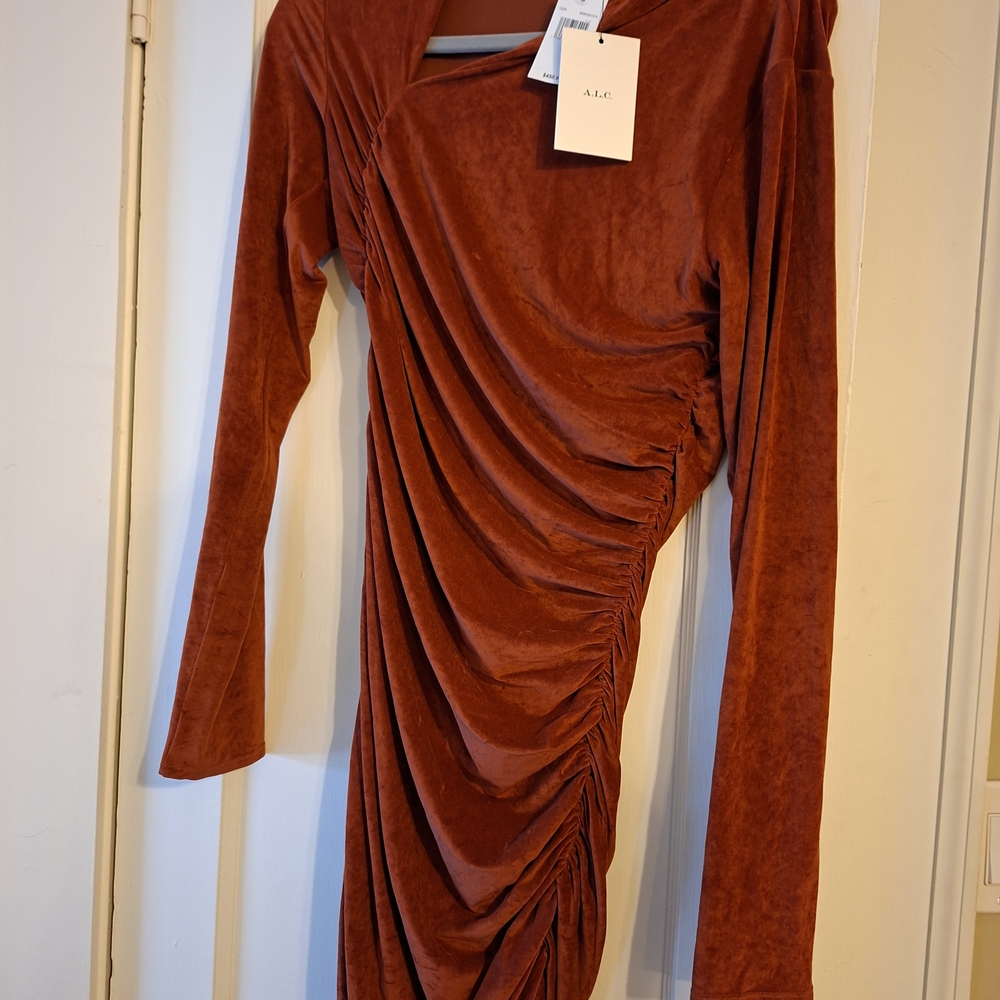 A.L.C. Rust Velvet Ruched Long Sleeve Dress